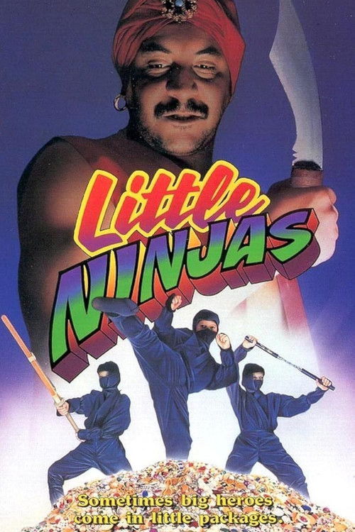 Little Ninjas (1993) poster