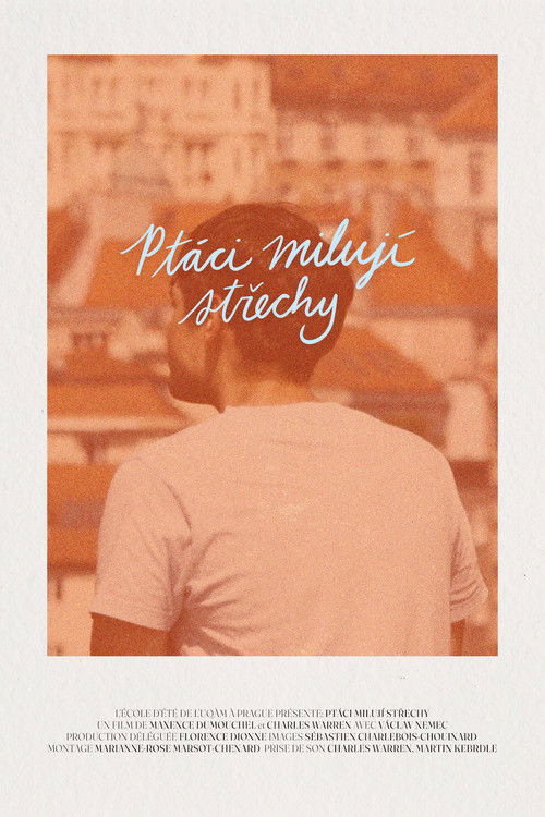 Of Birds and Roofs (2024) poster