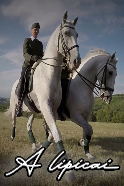 A lipicai (2016) poster