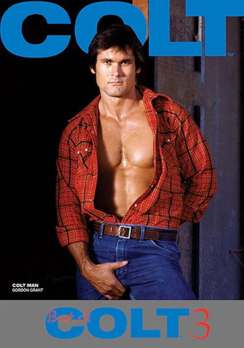 The Best of Colt Films: Part 3 (1986) poster