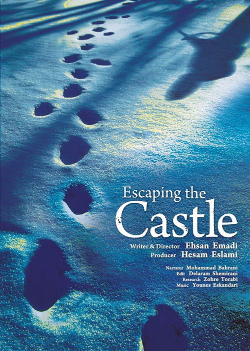 Escaping the Castle (2023) poster