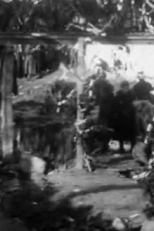 Прослава на водици во Битола (1905) poster