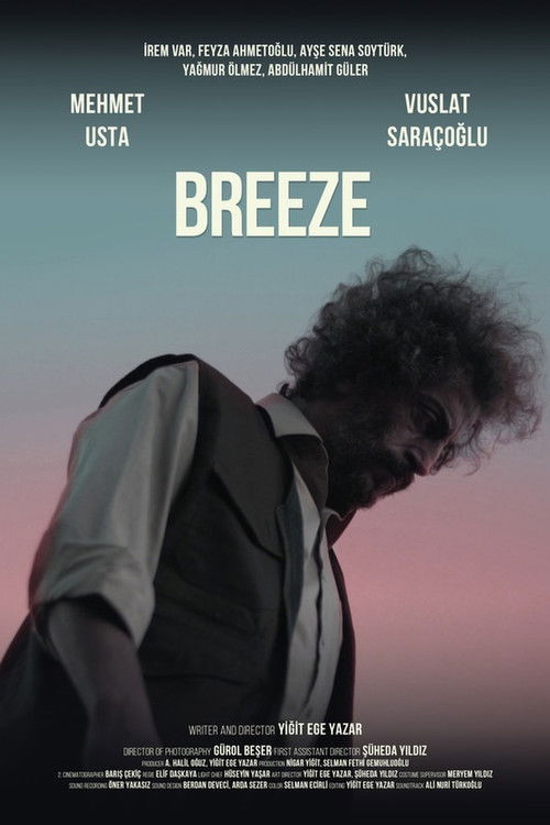 Breeze (2020) poster