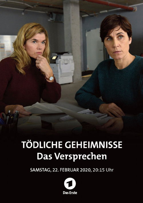 Tödliche Geheimnisse - Das Versprechen (2020) poster