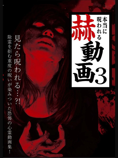 Truly Cursed Startling Videos 3 (2017) poster