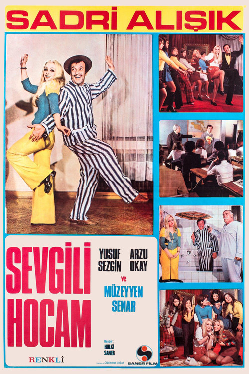 Sevgili Hocam (1972) poster