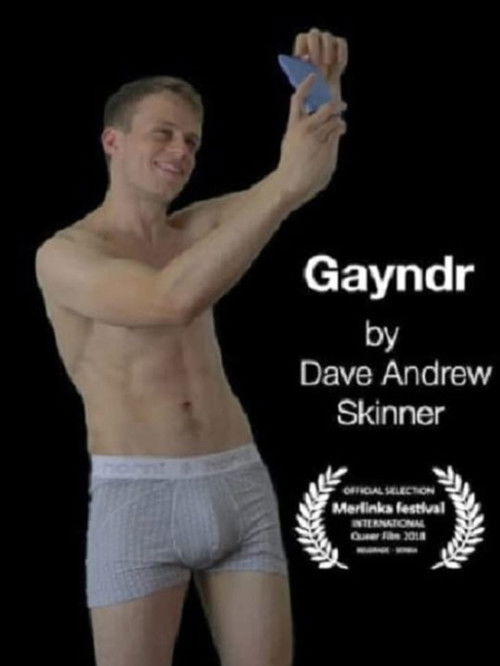 Gayndr II (2017) poster