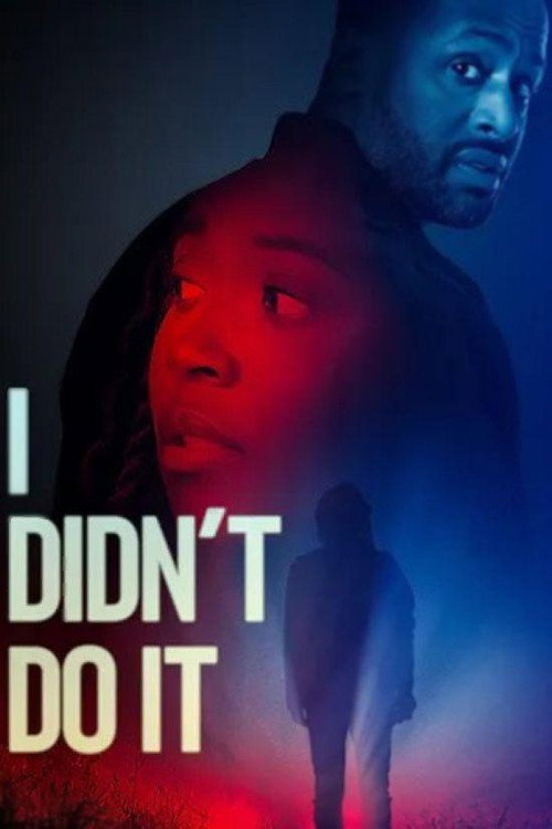 I Didn't Do It (2026) poster