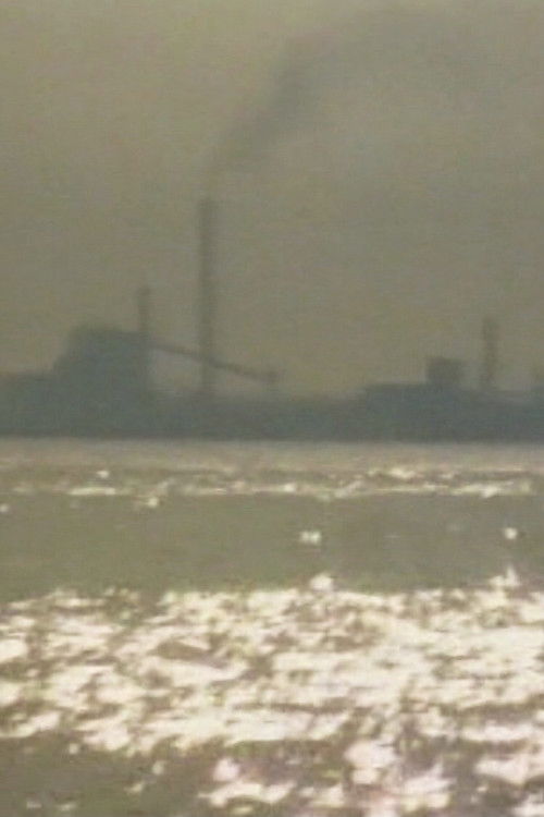 Porto Marghera, il lavoro contro la vita (1979) poster