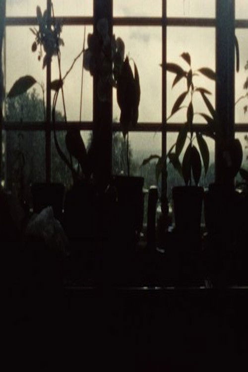 Movement and Stillness (2015) poster