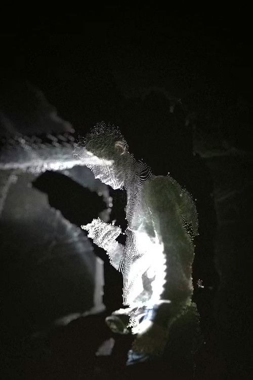 I Don't Think I'm Alone in This (2025) poster