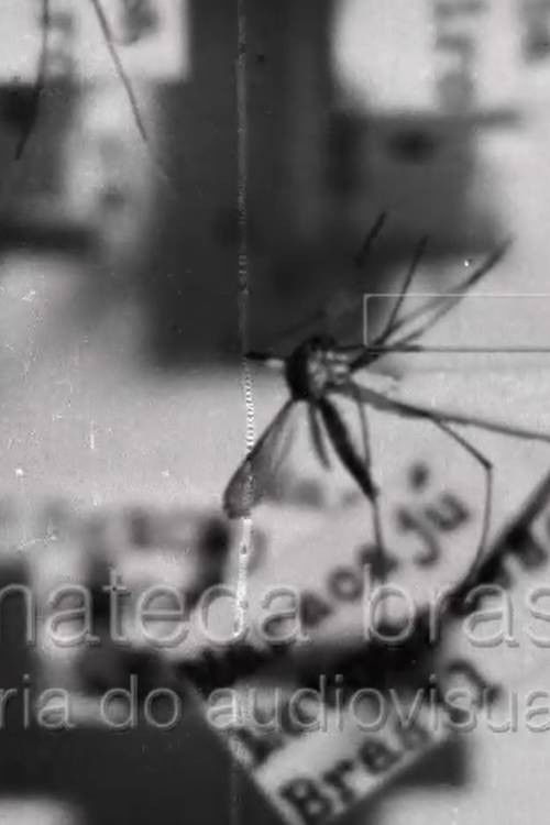 Febre Amarela II (1938) poster