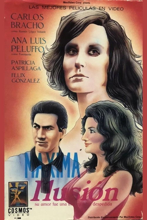 El vals sin fin (1972) poster