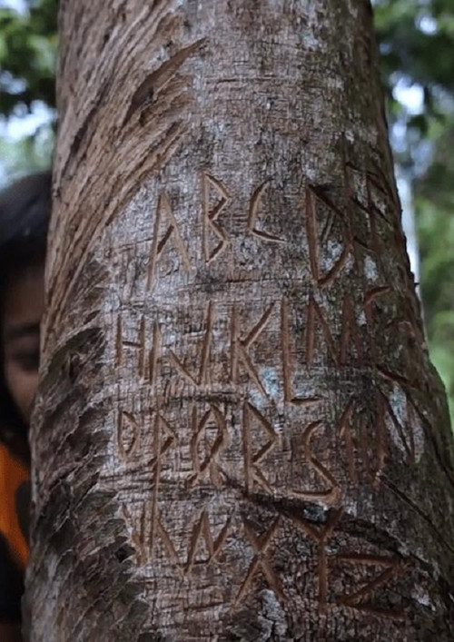 Forrest Now (2018) poster