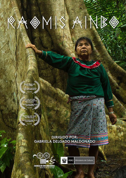 RAOMIS AIMBO (2019) poster