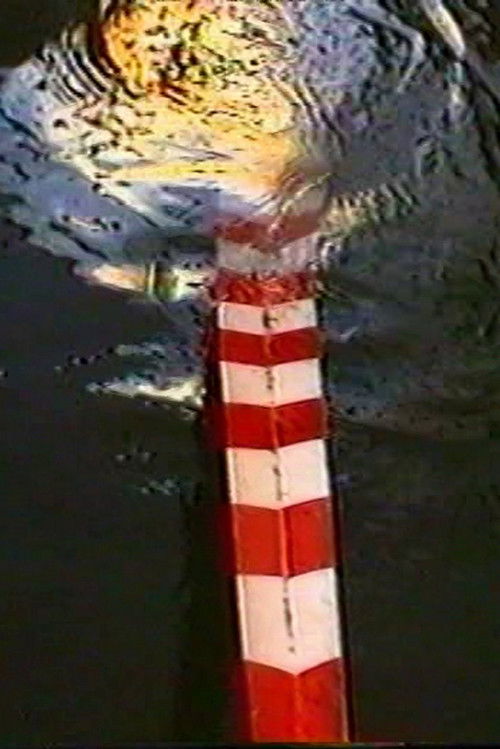 L'air du large (1995) poster