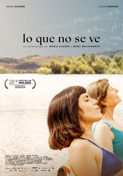 Lo que no se ve (2025) poster