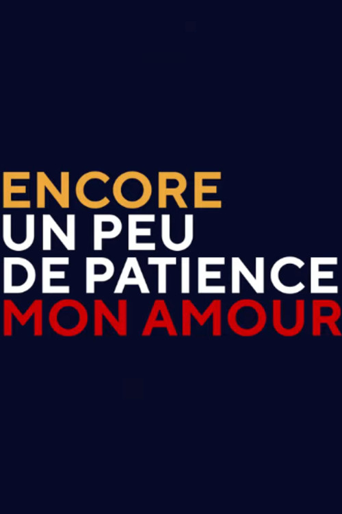 Encore un peu de patience mon amour (2020) poster