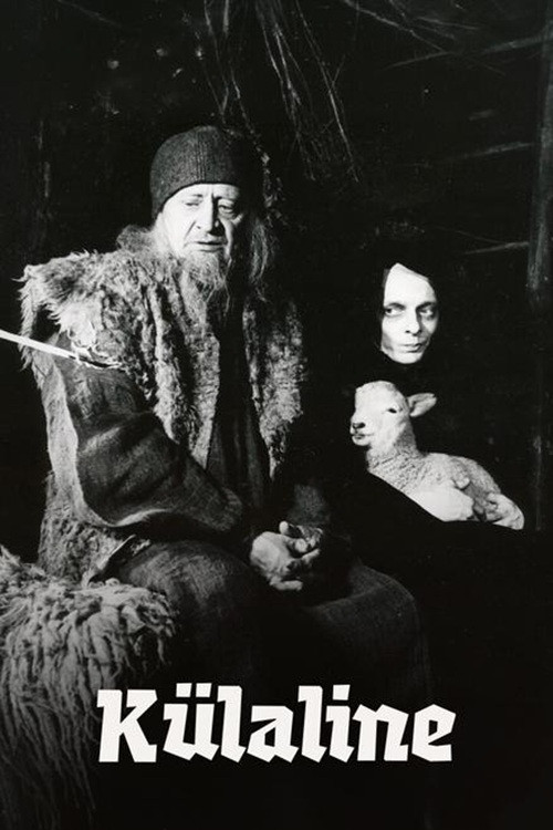 Külaline (1979) poster