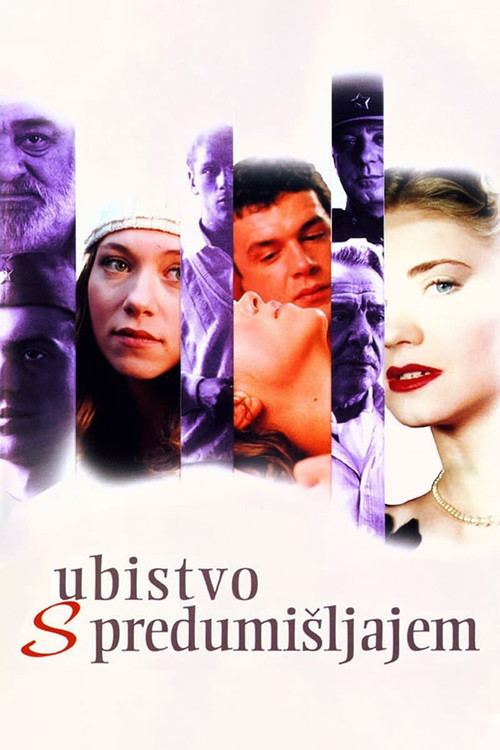Premeditated Murder (1995) poster