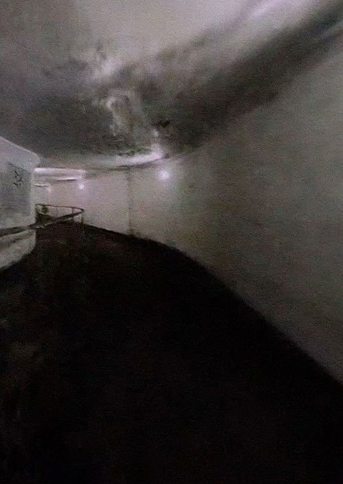 Through Stale Air and Shifting Walls (2025) poster