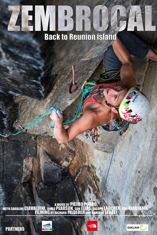 Zembrocal (2014) poster