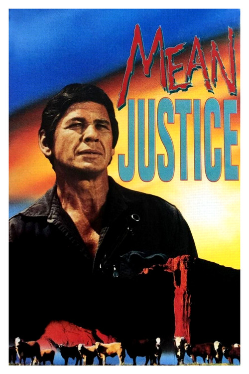 Mean Justice (1971) poster