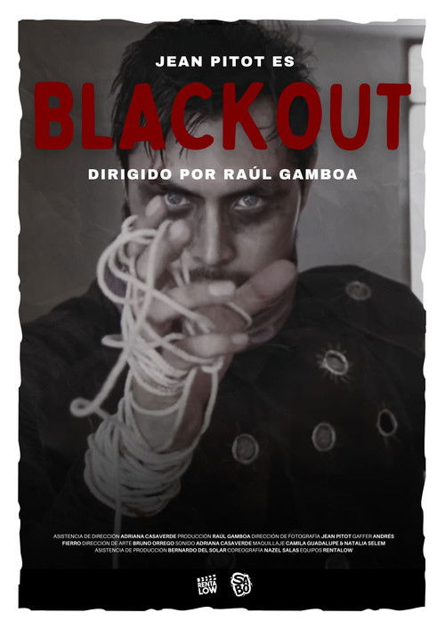 BLACKOUT (2024) poster