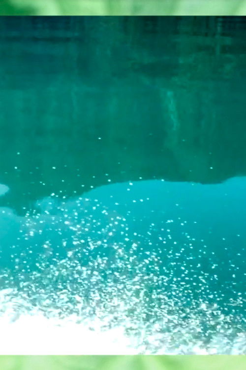 Digging Up the Last Spike (2019) poster