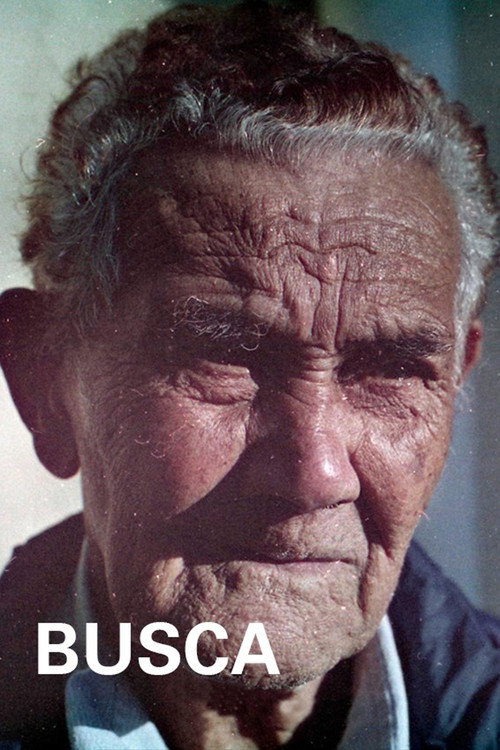 Busca (2023) poster