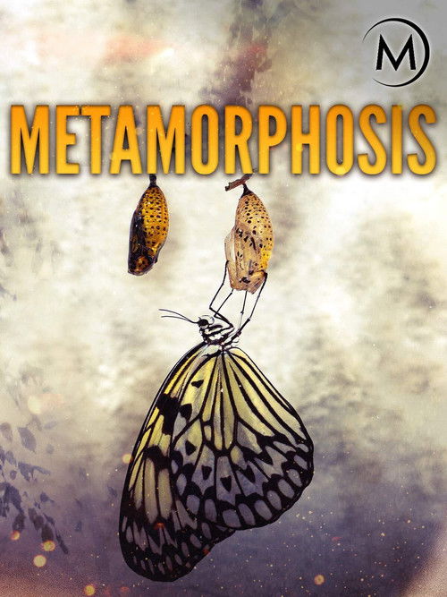 Metamorphosis (2021) poster