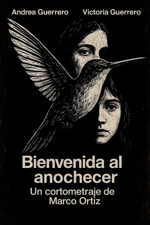 Bienvenida al Anochecer (2018) poster