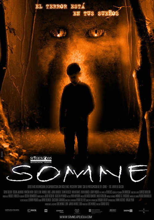 Somne (2005) poster