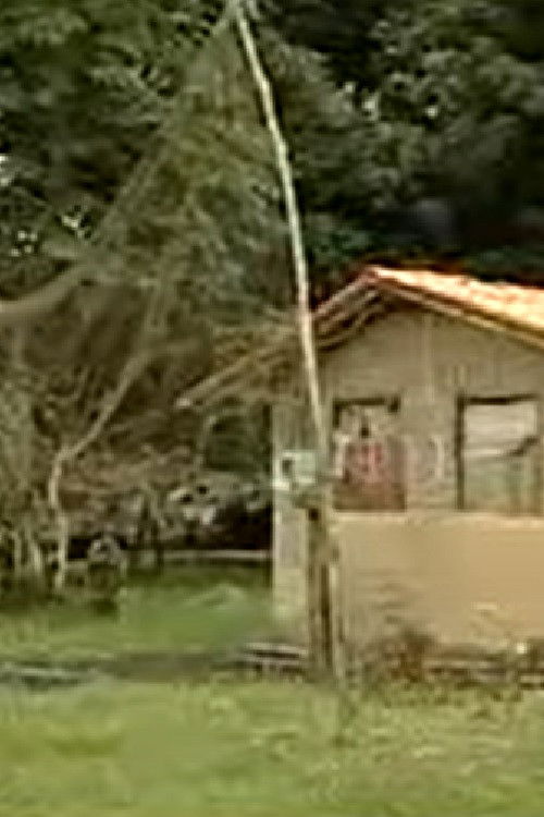 Cidades Amazônicas (2006) poster