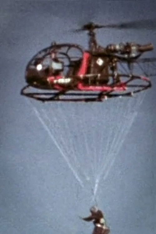 Above It All (1969) poster