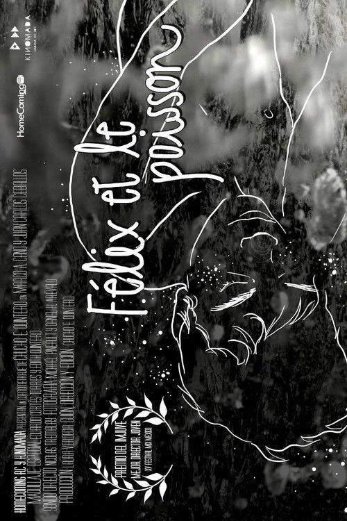 Félix and the Fish (2011) poster