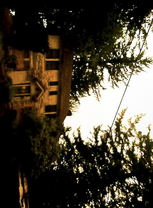 evan's house (2025) poster