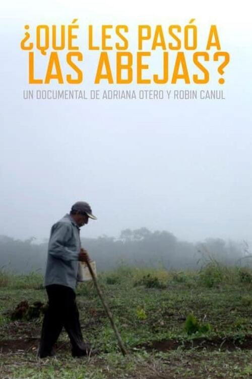 ¿Qué les pasó a las abejas? (2018) poster