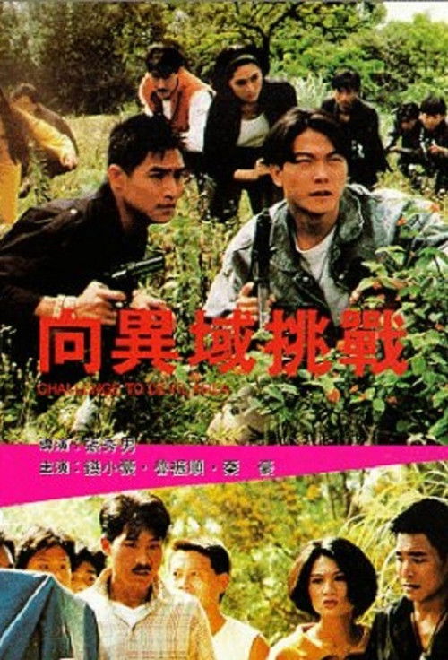 Challenge to Devil Area (1991) poster