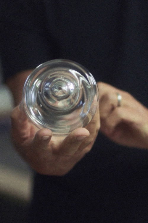 Slip of the Line (2018) poster