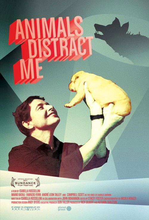 Animals Distract Me (2011) poster