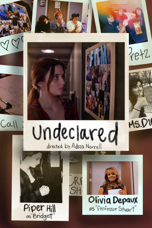 Undeclared (2023) poster