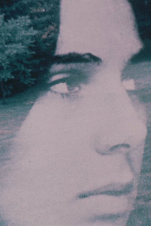 Andrea 1973 (1973) poster