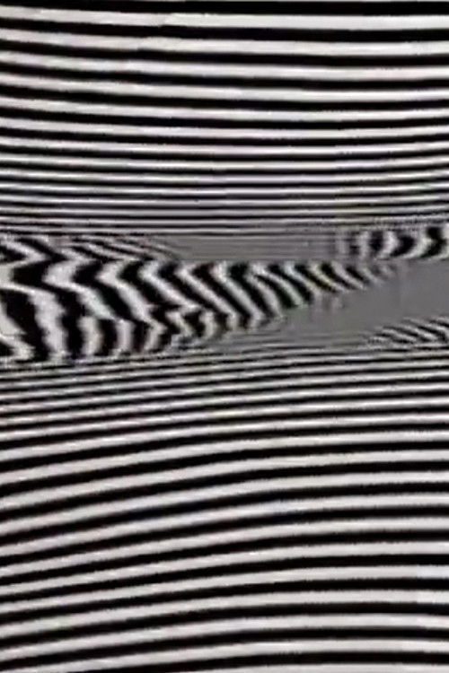 Black/White/Text (1980) poster