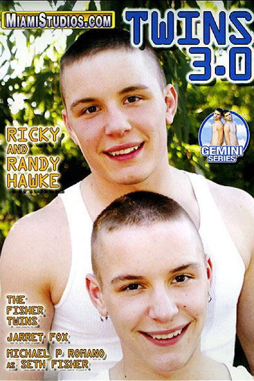 Twins 3.0 (2007) poster