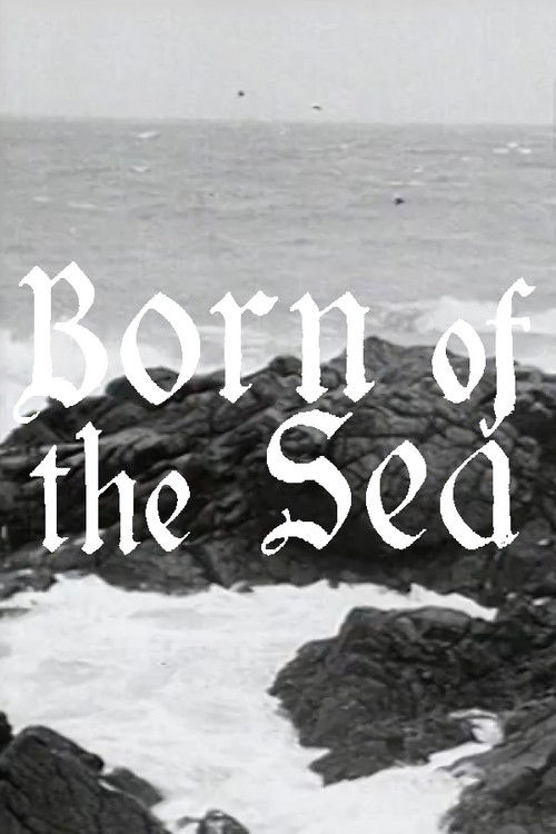 Born of the Sea (1949) poster