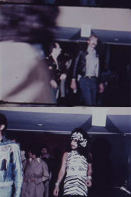 Star Trick (1975) poster