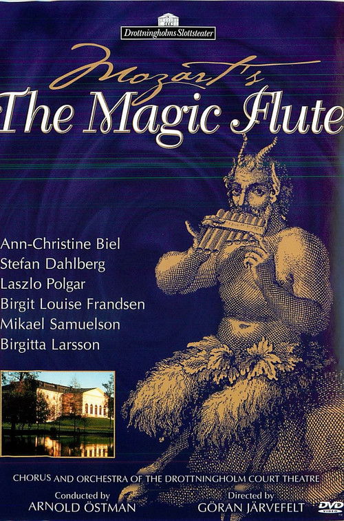 Mozart: The Magic Flute (1989) poster