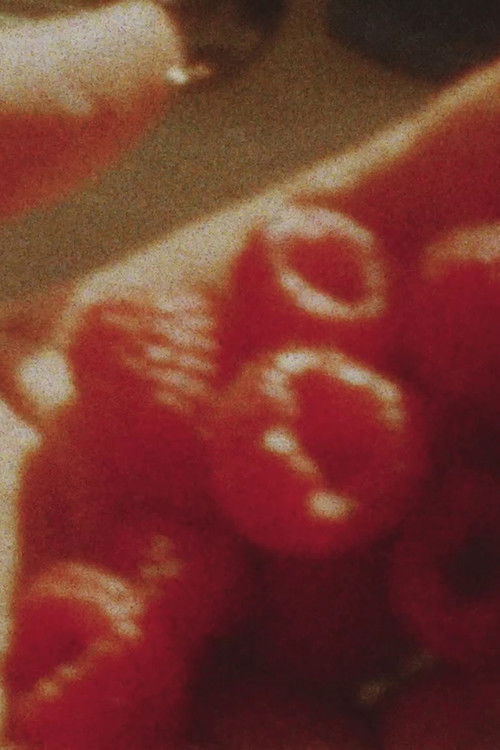 Full Bloom (2016) poster