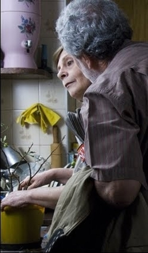 Rosa e Benjamin (2009) poster